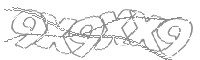 Check code